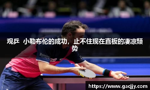 观乒  小勒布伦的成功，止不住现在直板的凄凉颓势