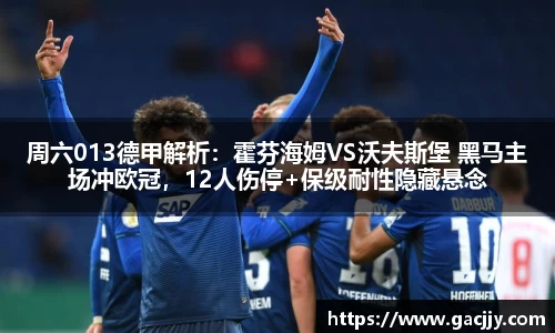 周六013德甲解析：霍芬海姆VS沃夫斯堡 黑马主场冲欧冠，12人伤停+保级耐性隐藏悬念